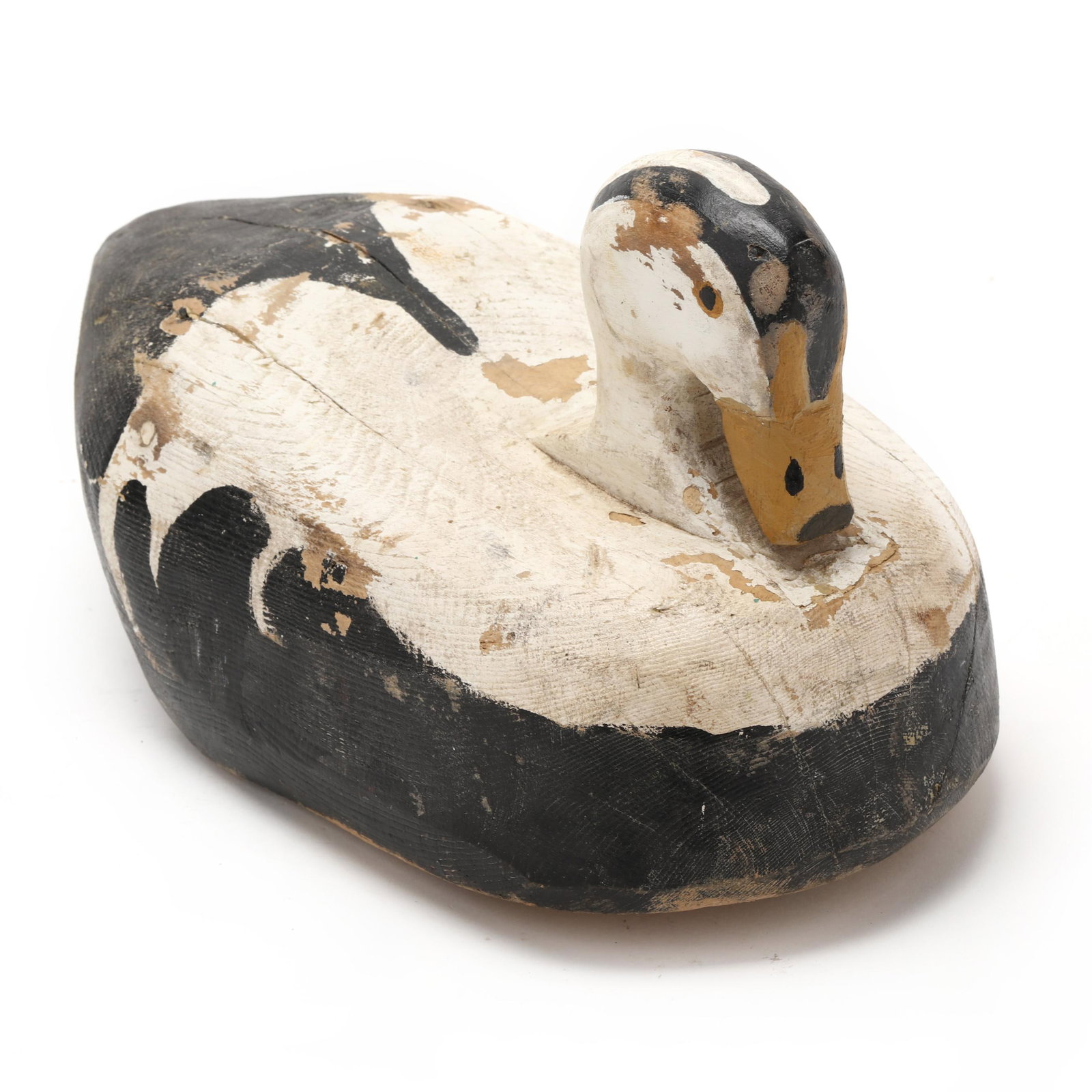 Wayne Stuart (CA), King Eider - 3