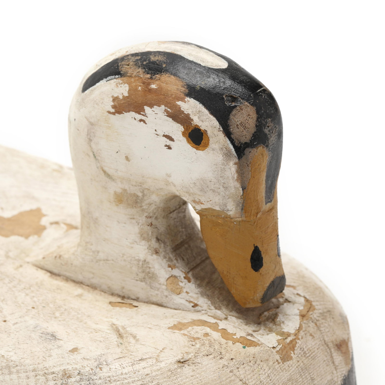 Wayne Stuart (CA), King Eider - 4