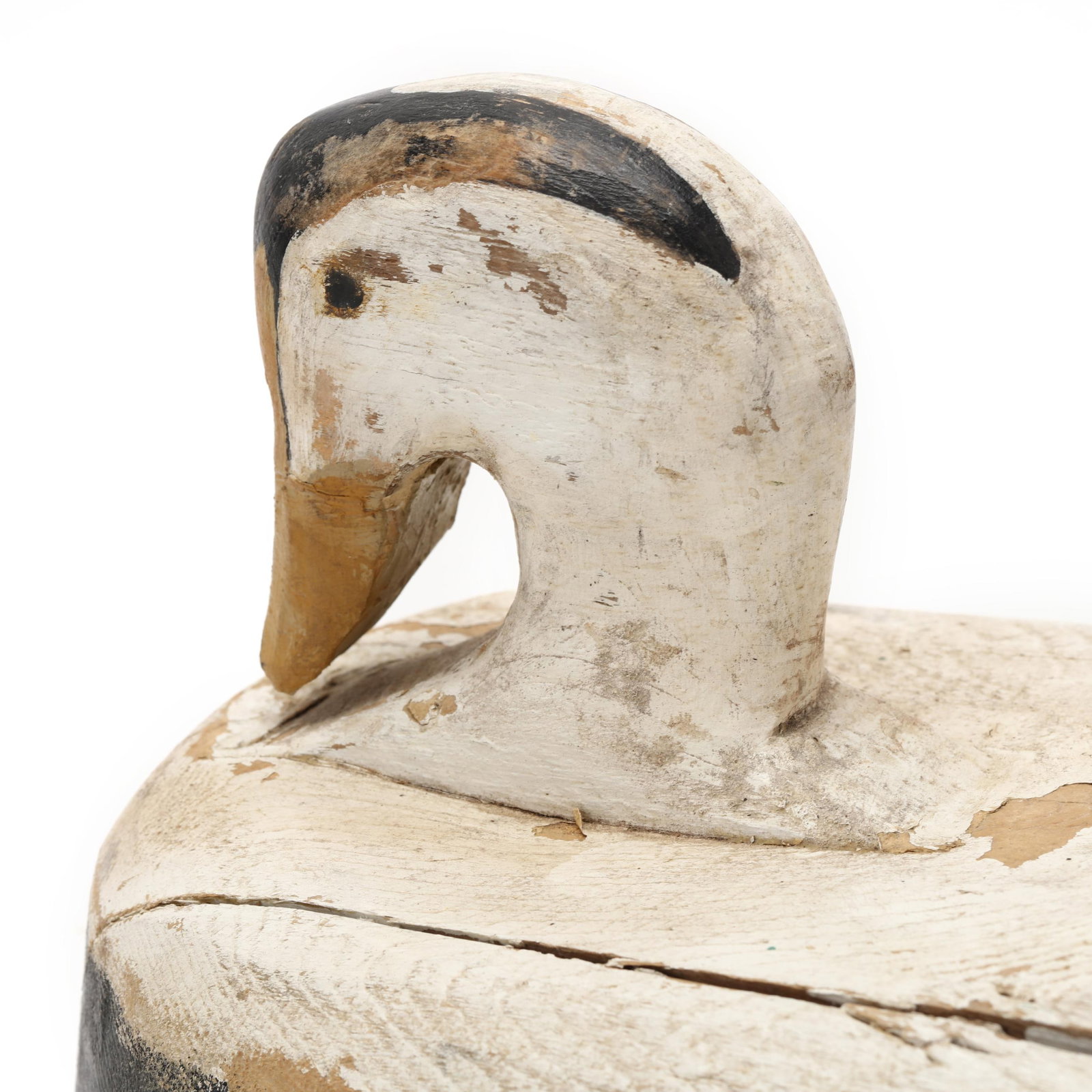 Wayne Stuart (CA), King Eider - 5