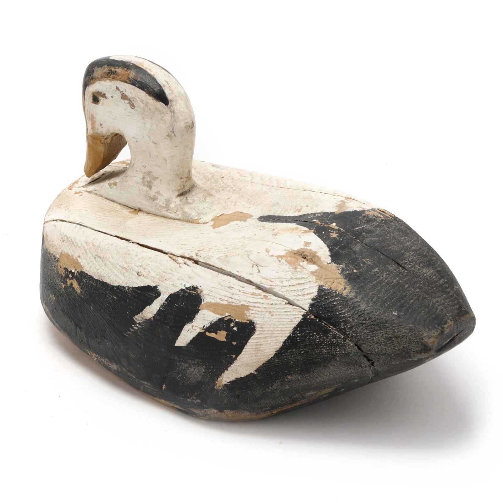 Wayne Stuart (CA), King Eider - 6