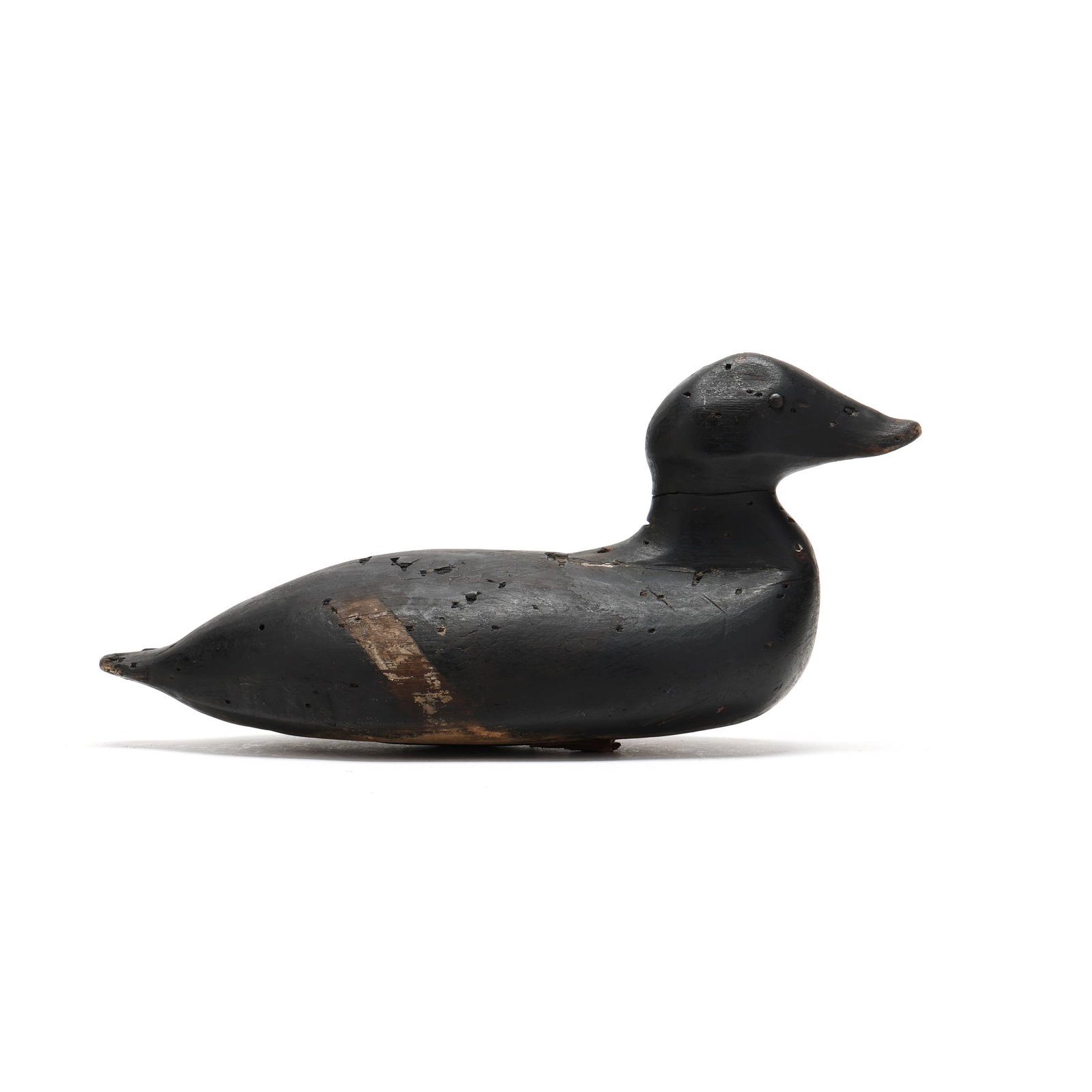 Early White-Winged Scoter (1 of 7)