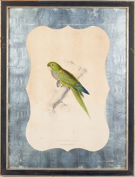 Edward Lear (Br., 1812-1888), "Dwarf Parrakeet...": Edward Lear (Br., 1812-1888), "Dwarf Parrakeet...""...Maccaw" or "Psittacara Nana," hand-colored lithograph on paper, published in 1832 by C. Hullmandel, from Lear's ILLUSTRATIONS OF THE FAMILY OF PSI