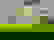 item-1461994=4