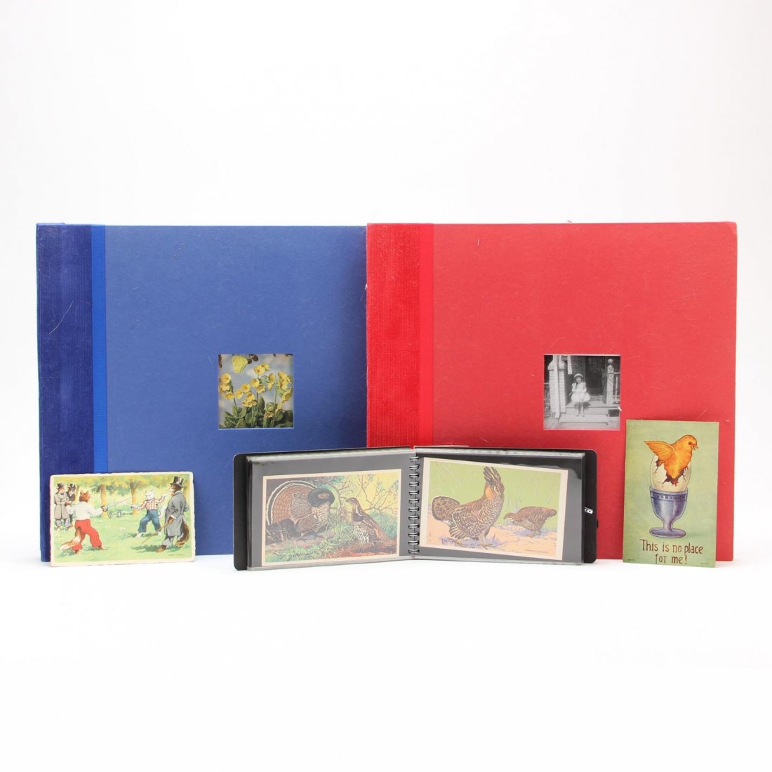140 + Vintage Animal Postcards ( Three Albums) (1 of 3)