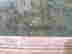 item-2065095=4