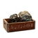 A Collection of Rock Specimens in a Pepsi-Cola Crate