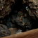 A Collection of Rock Specimens in a Pepsi-Cola Crate - 3