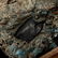 A Collection of Rock Specimens in a Pepsi-Cola Crate - 5