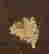 item-58991659=4