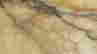 item-58991695=9