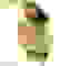 item-4909878=2