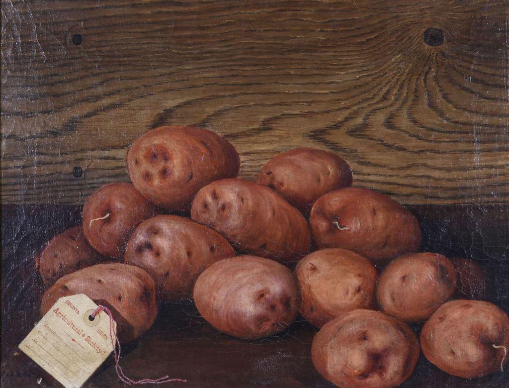 A. L. Avery (American, 19C) Trompe L'oeil Still Life Painting (1 of 5)