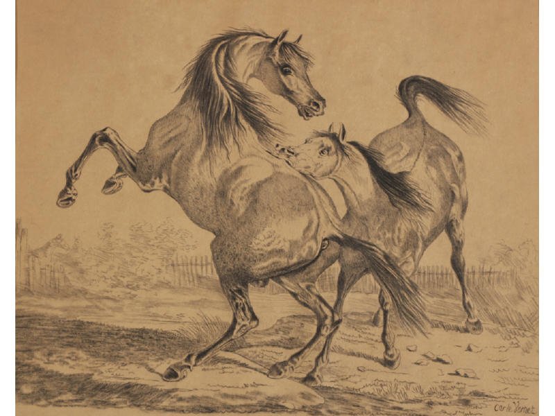 CARLE VERNET (French, 1758-1836) Horse Drawings: CARLE VERNET (French, 1758-1836) Two Fighting Horses. Charcoal drawing on tinted paper. Signed lower right Carle Vernet. Good condition with some toning of paper. Hinged, not laid down. Vernet is a si