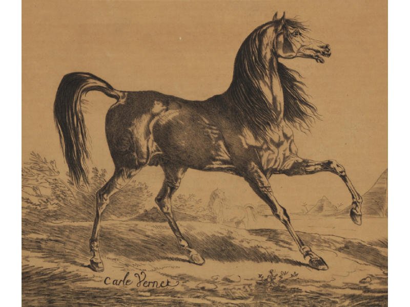 CARLE VERNET (French, 1758-1836) Drawing Horse: CARLE VERNET (French, 1758-1836). Charcoal drawing on tinted- paper. Signed lower left Carle Vernet. Good condition with some toning of the paper. Hinged, not laid down. Vernet is a signature period d