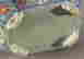 item-34717177=6