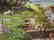 111: Berta von Grab 1921 "Lake Vista" Oil Painting - 3