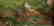 111: Berta von Grab 1921 "Lake Vista" Oil Painting - 4