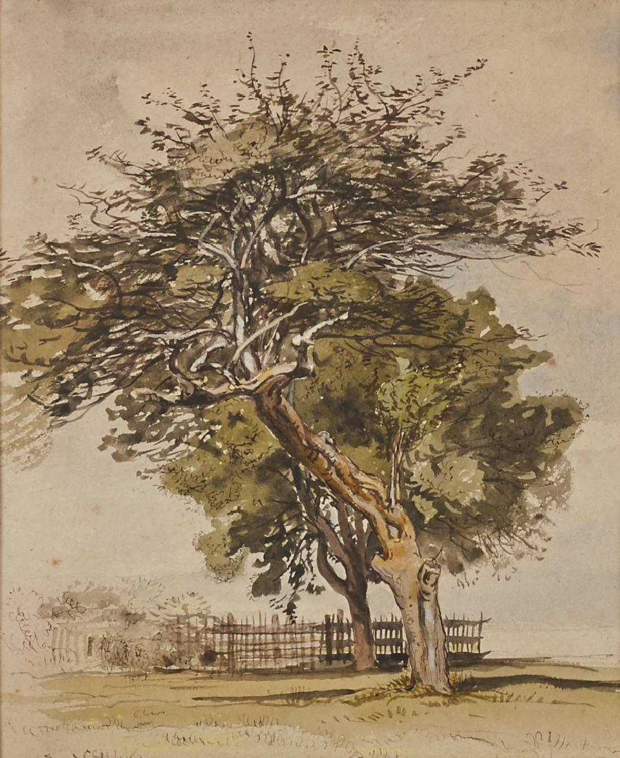 Samuel Colman (American, 1832-1920) NY Painting: Samuel Colman (American, 1832-1920) Painting. The 19th century painting is titled -- Old Apple Tree at East Hampton Long Island from nature Aug. 1880. The watercolor is signed lower left Saml Colman.