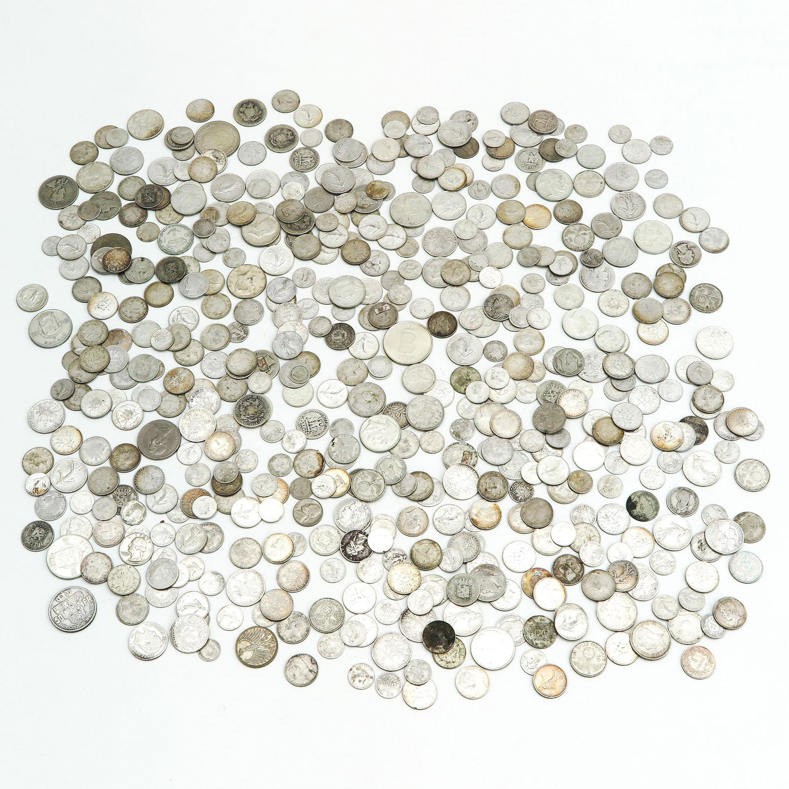 A Diverse Collection (1 of 1)