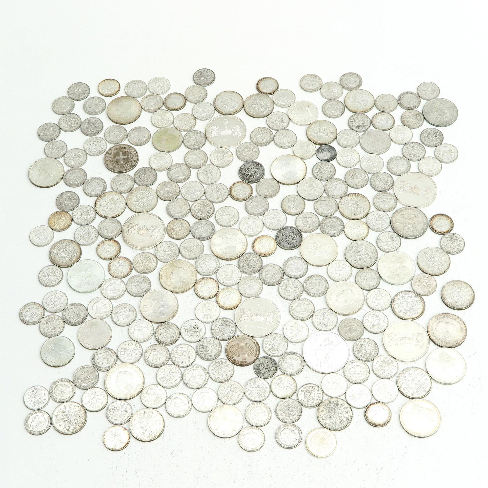 A Diverse Collection (1 of 1)