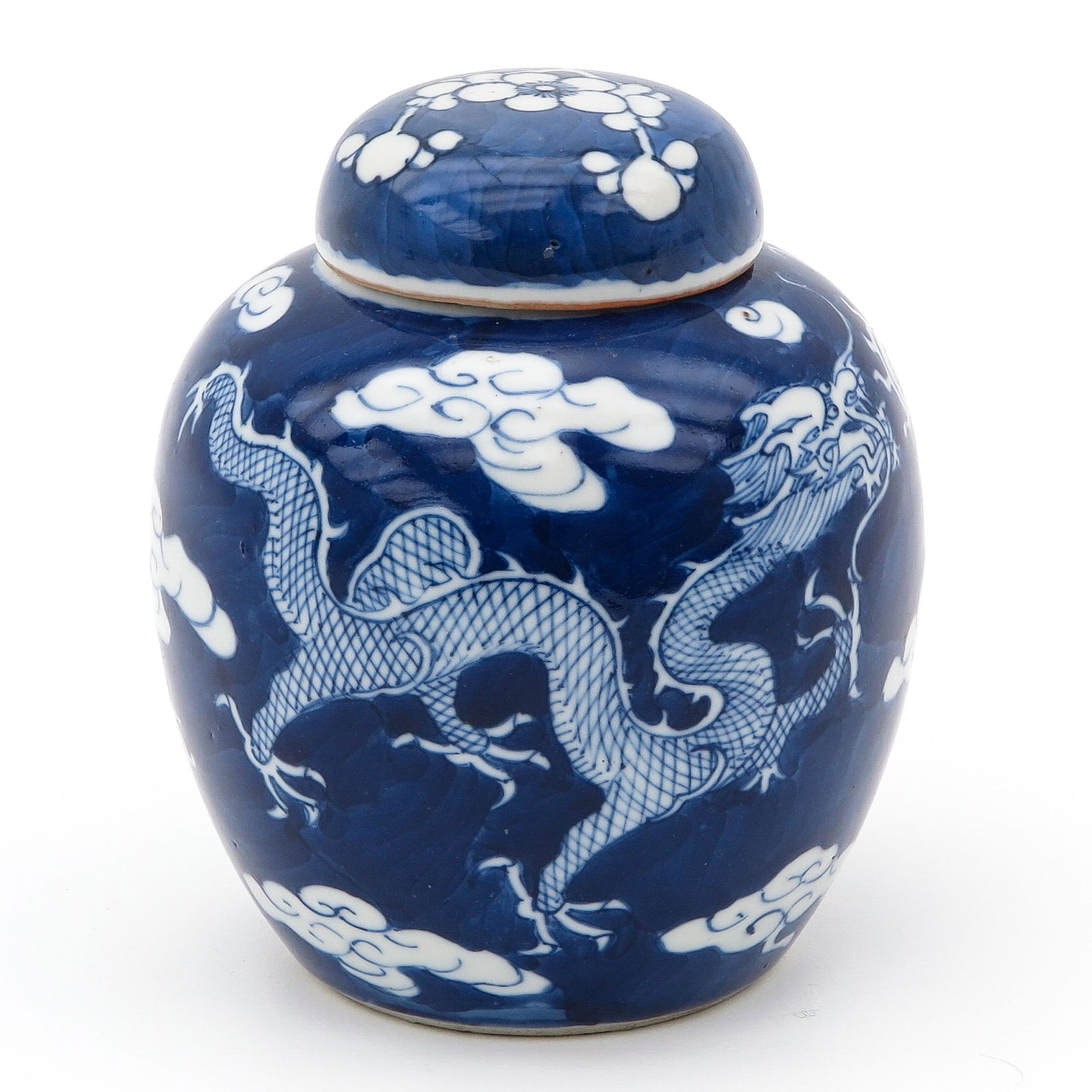 A Blue and White Ginger Jar (1 of 9)