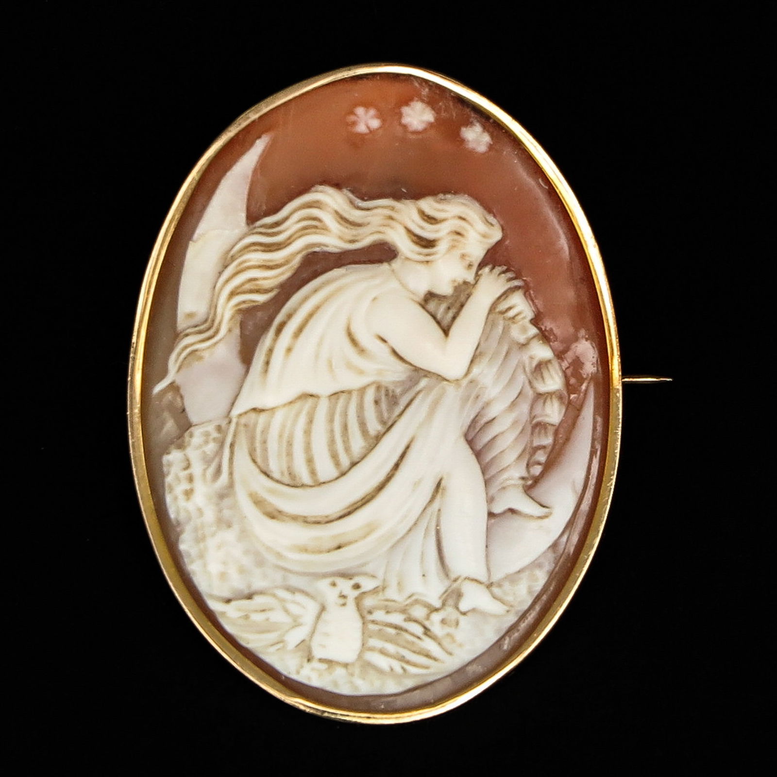 A 14KG Cameo Brooch (1 of 3)