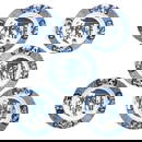 A Series of 5 Blue and White Plates