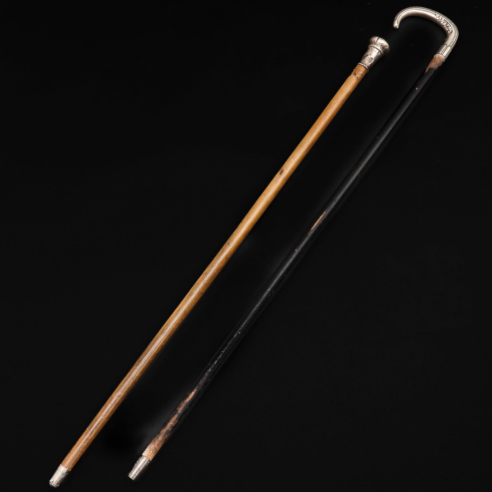 A Lot of 2 Walking Sticks (1 of 6)