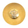 A Silver Hostidoos