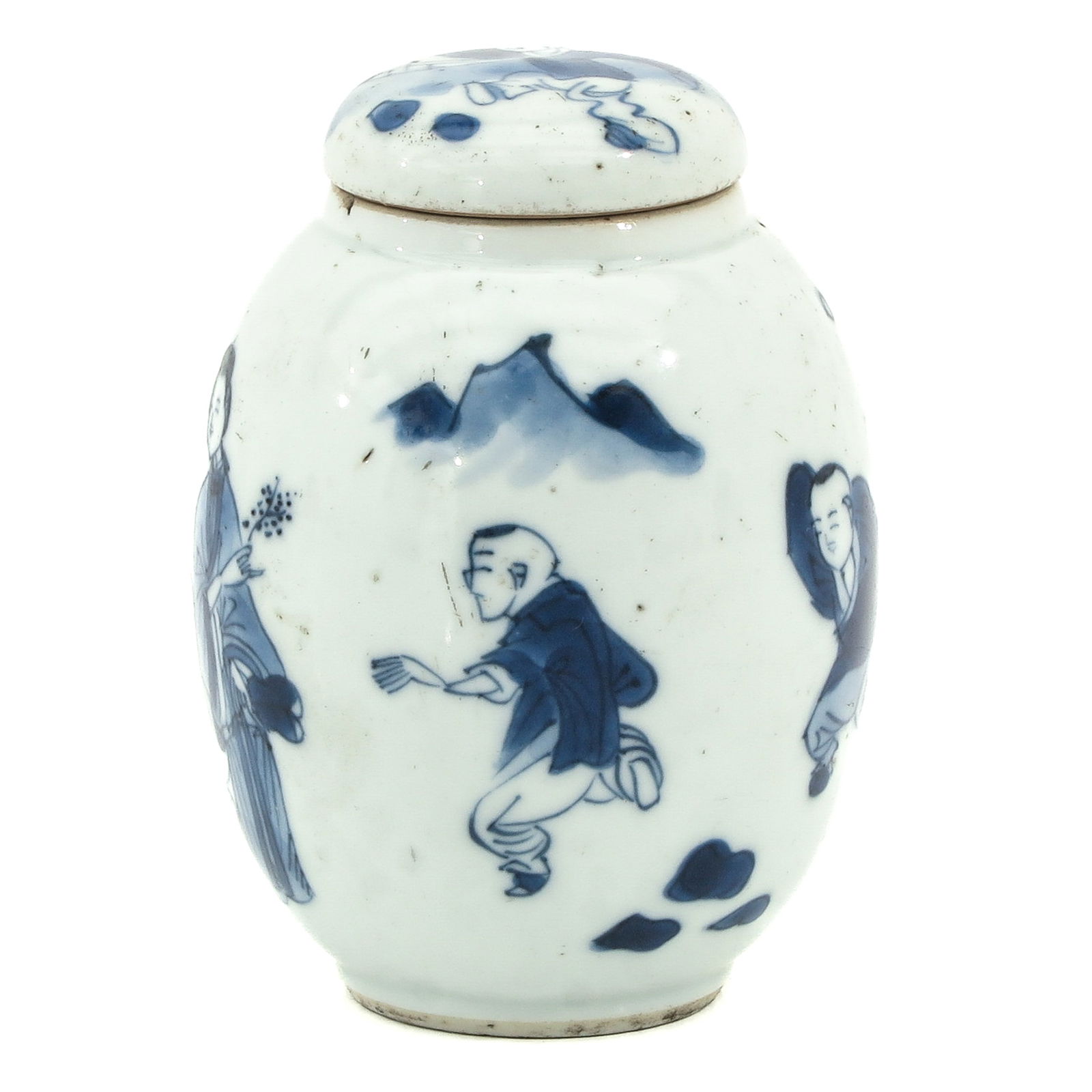 A Blue and White Tea Caddy (1 of 9)