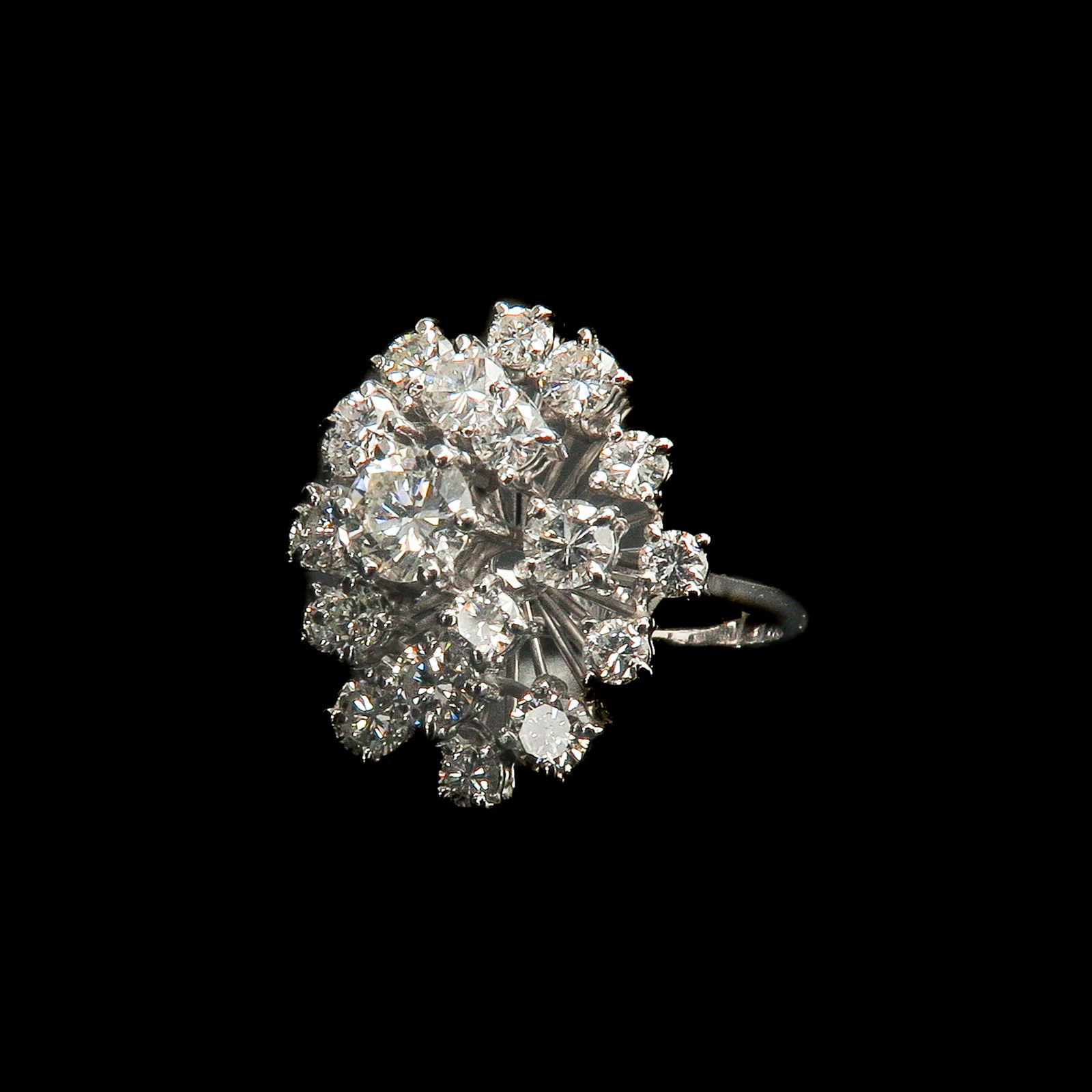 An Alliance Ring (1 of 5)