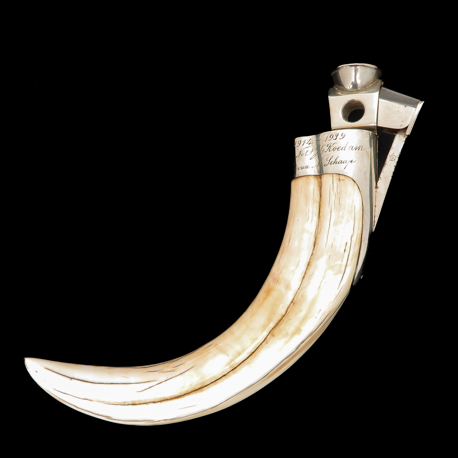 A Cigar Cutter: made from a tusk of a wild boar, with silver fittings with inscription, length 20 cm.