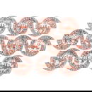 A Series of 10 Iron Red and Gilt Plates