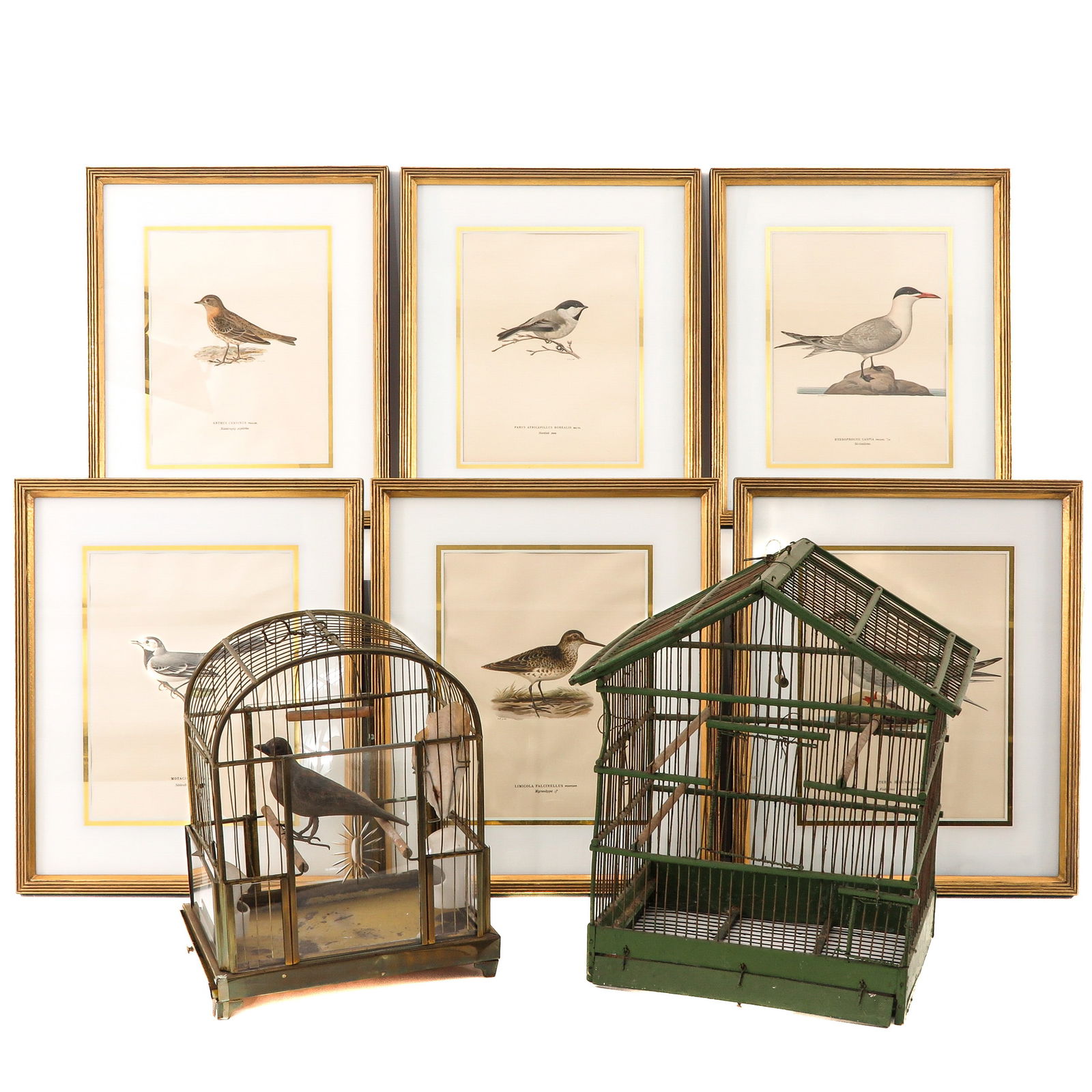 A Lot of 2 Bird Cases and Art (1 of 8)
