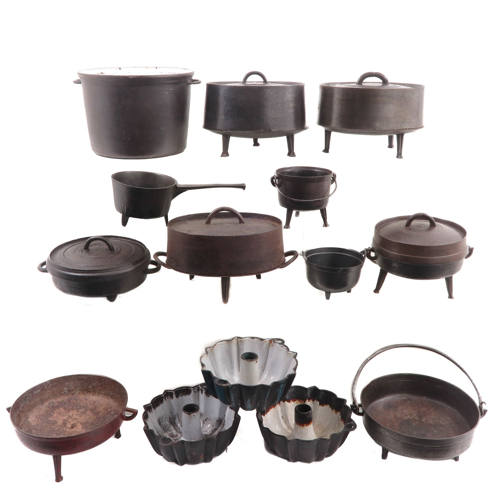 A Diverse Lot (1 of 8)