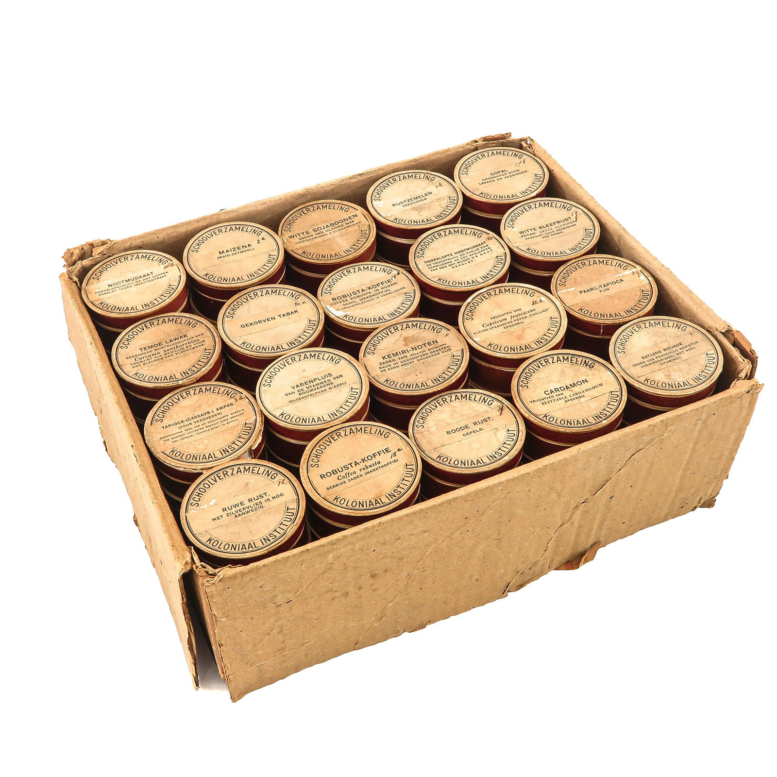 A School Sample Collection: Colonial Institute School Collection, including nutmeg.