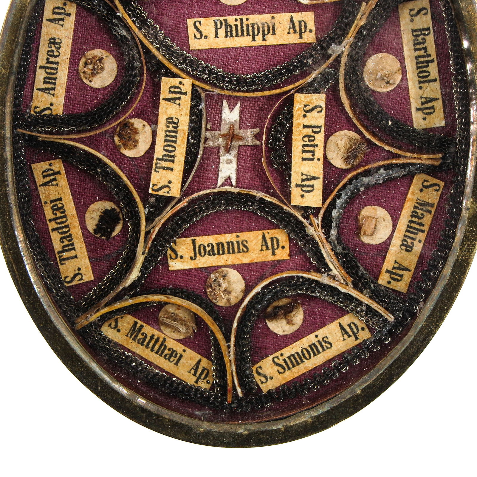 A Sealed multi-theca - 4