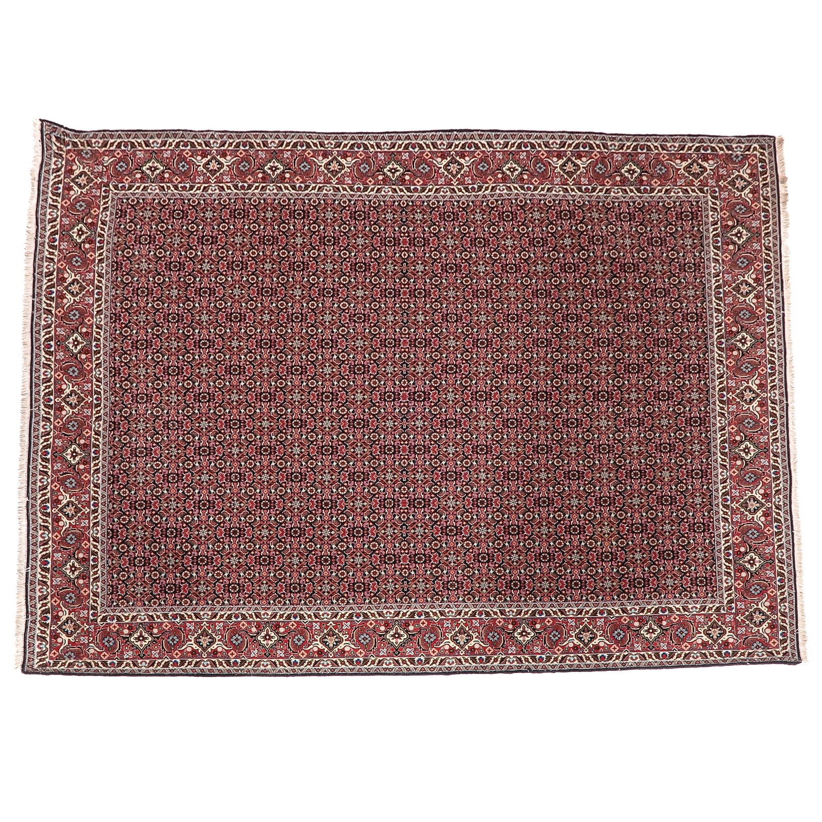 A Wool - 2