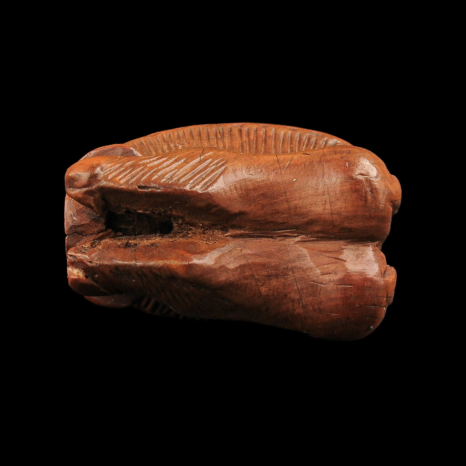 A Paeremes - 8