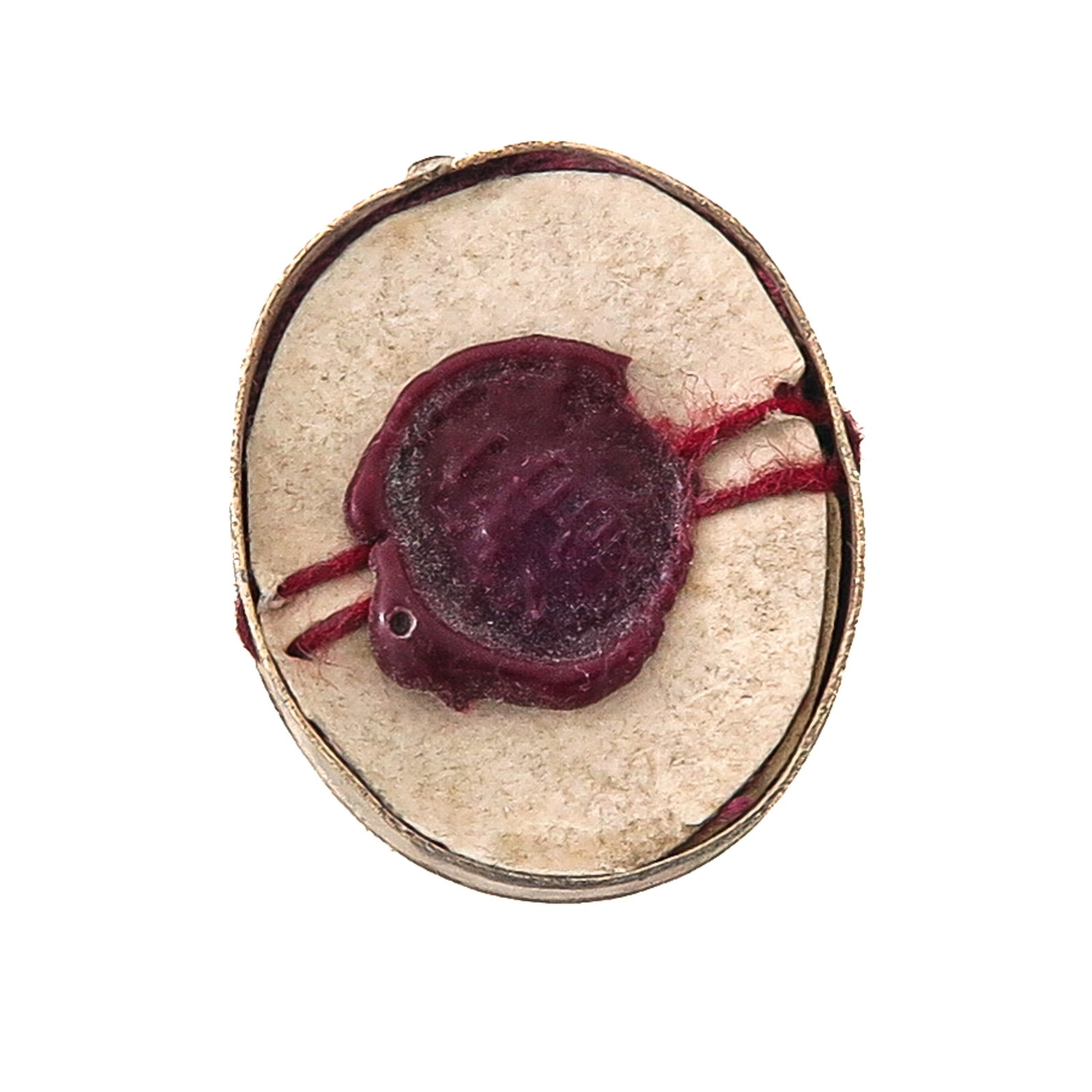 Sealed Theca - 2