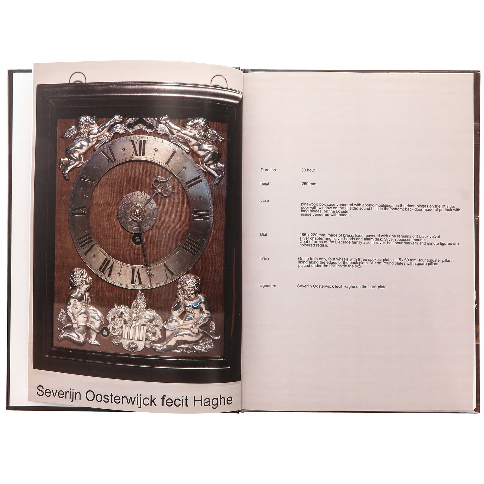Detail Photos for Very Rare Haagsche Clock: Please find detail photos for lot 1005