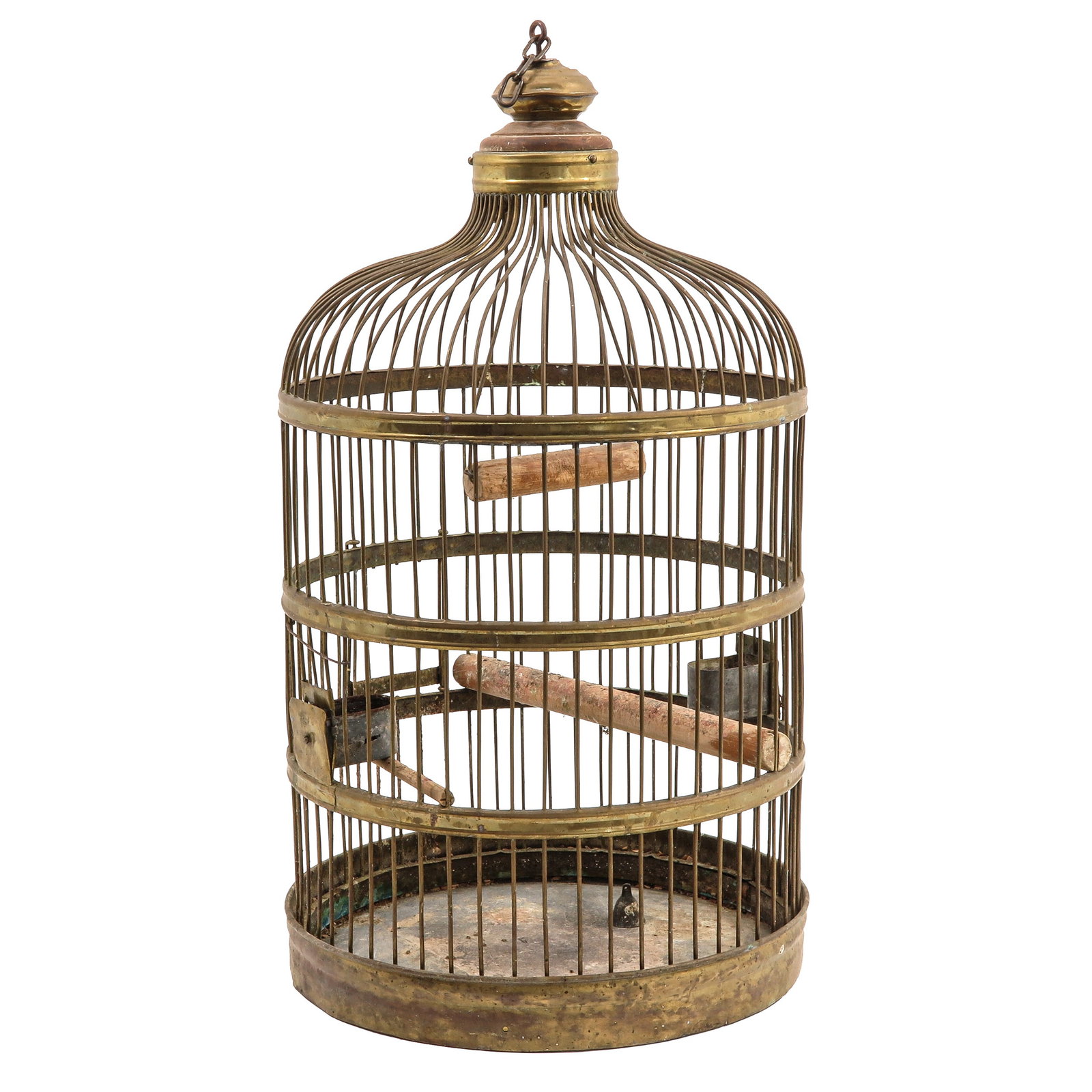 A Bird Cage - 3