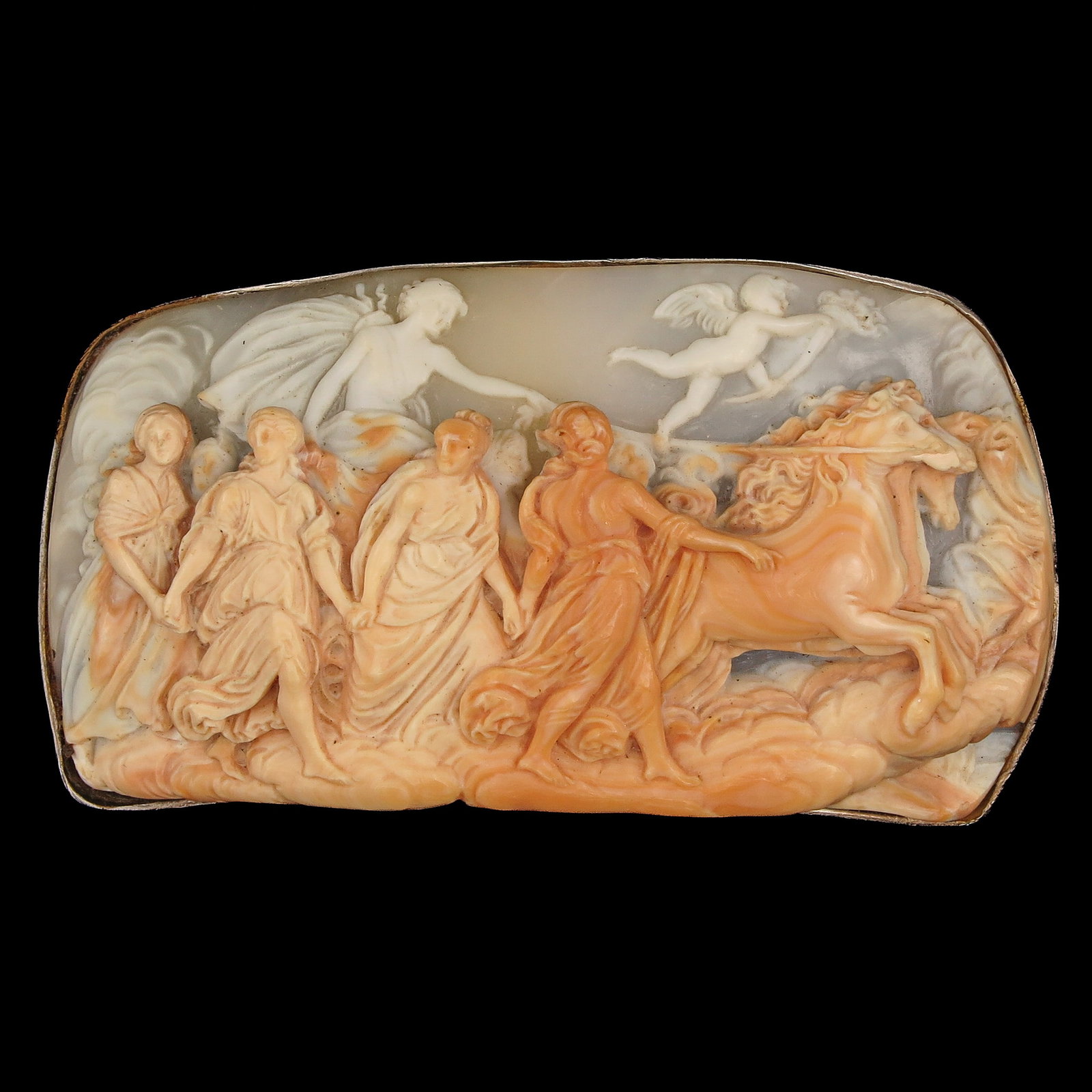 A Cameo (1 of 3)
