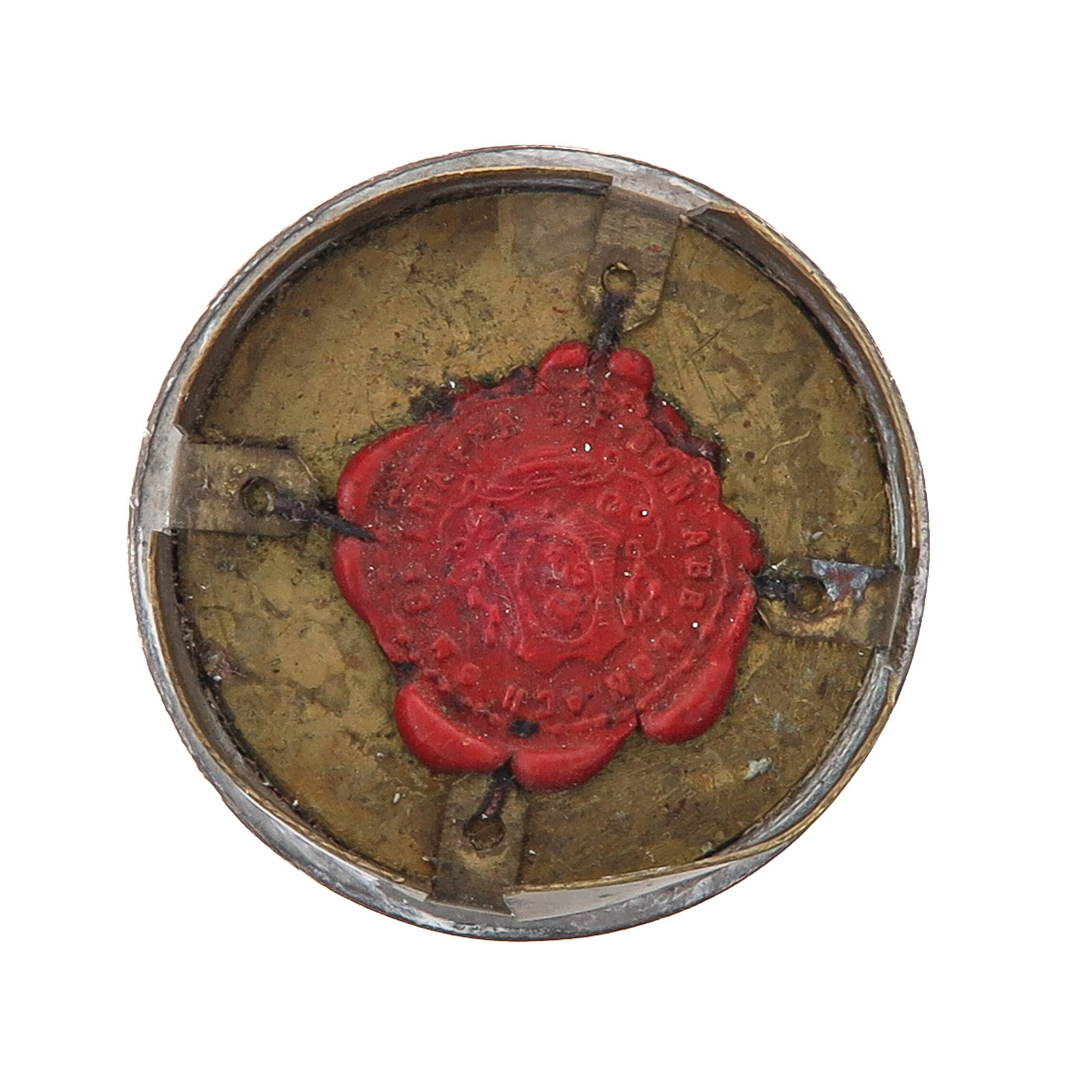 A Sealed Theca - 2