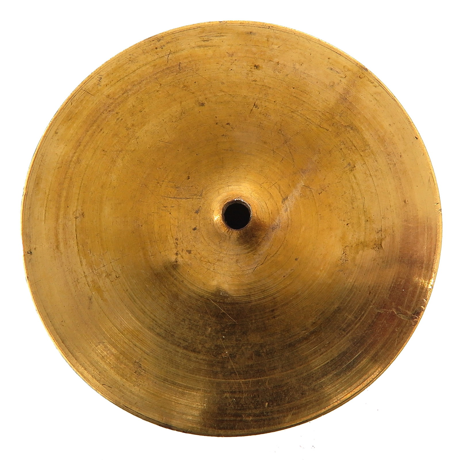 A Sealed Multi Theca - 2