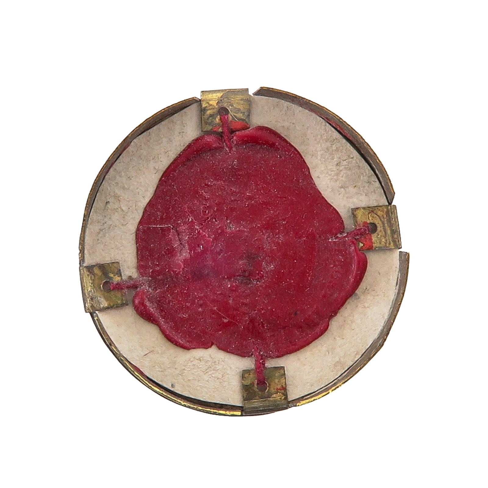 A Sealed Theca - 2