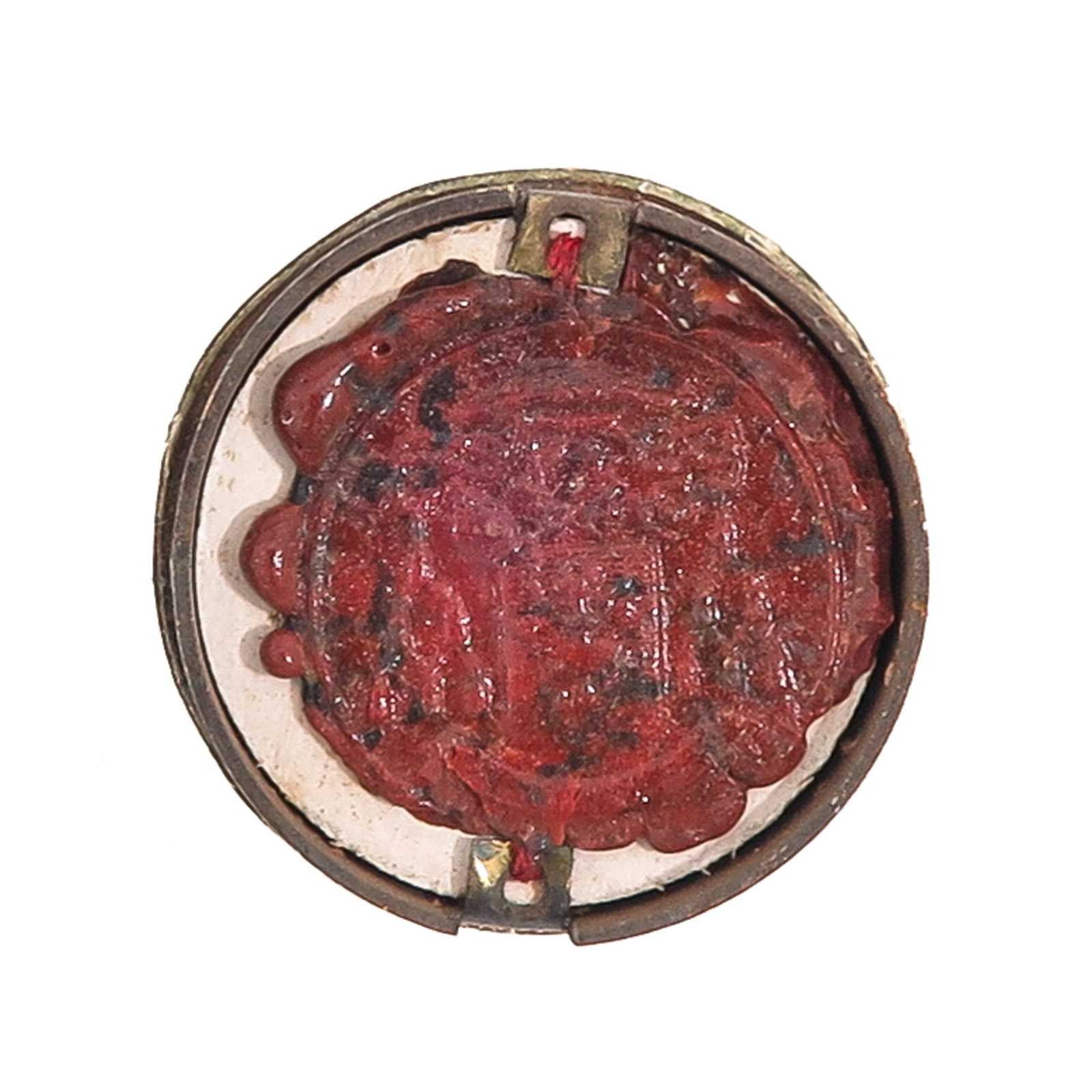 A Sealed Theca - 3