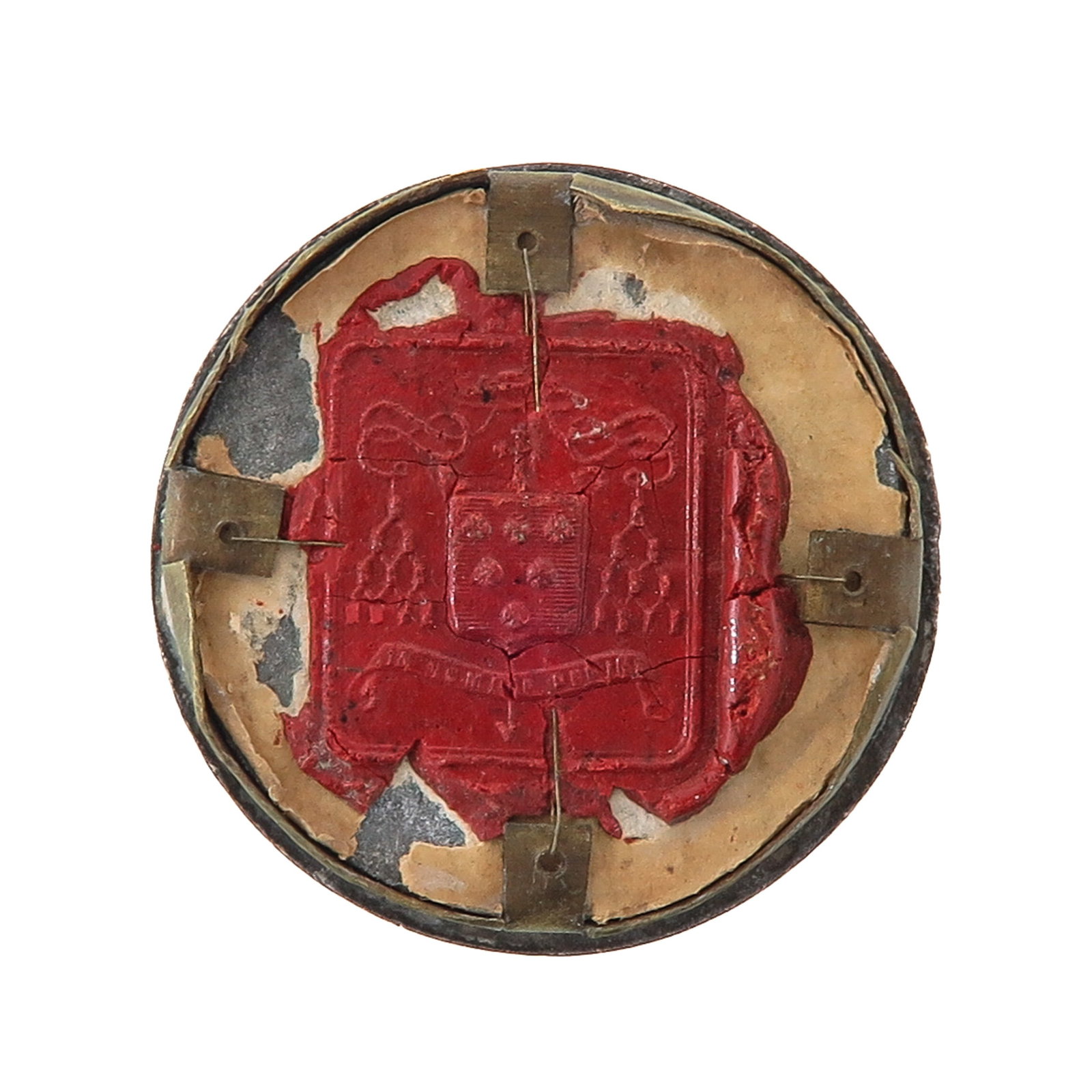 A Sealed Theca - 2