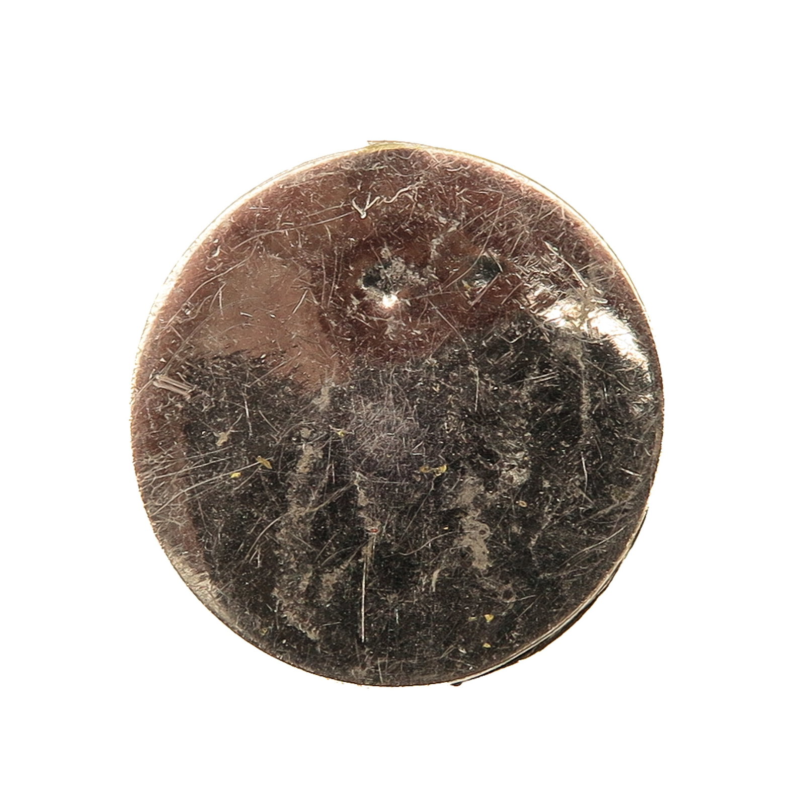 A Sealed Theca - 2