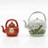 Lot of 2 China Porcelain Teapots